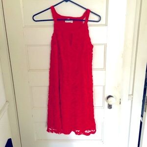 Fabulous Ann Taylor Loft red lace dress